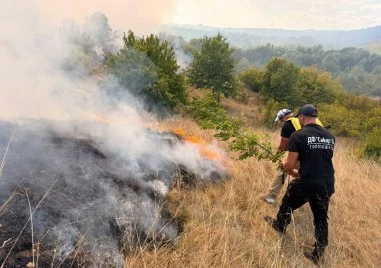 Пет екипа гасят голям пожар в Тополовградско