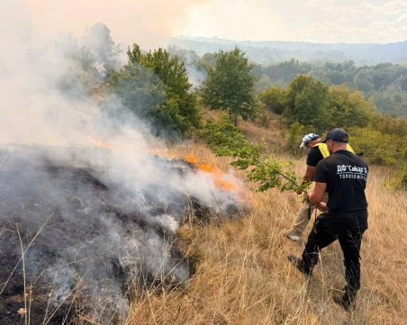 Пет екипа гасят голям пожар в Тополовградско