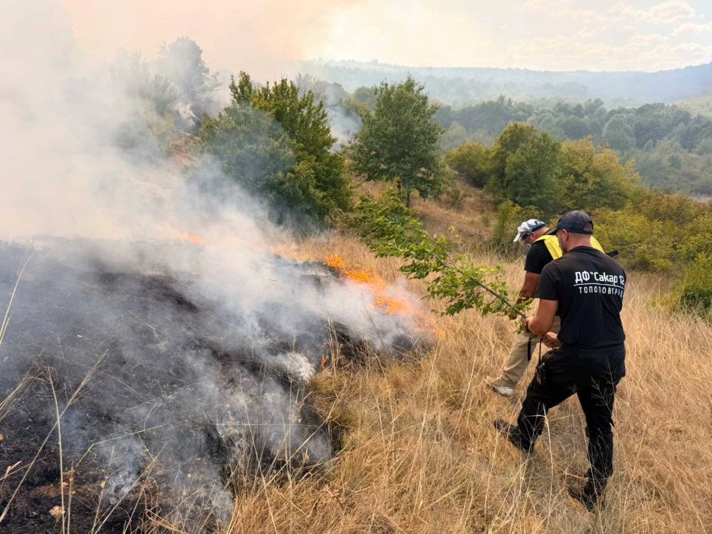 Пет екипа гасят голям пожар в Тополовградско