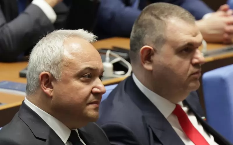Фирми за мантинели са плащали полети на Пеевски и наем на Горанов