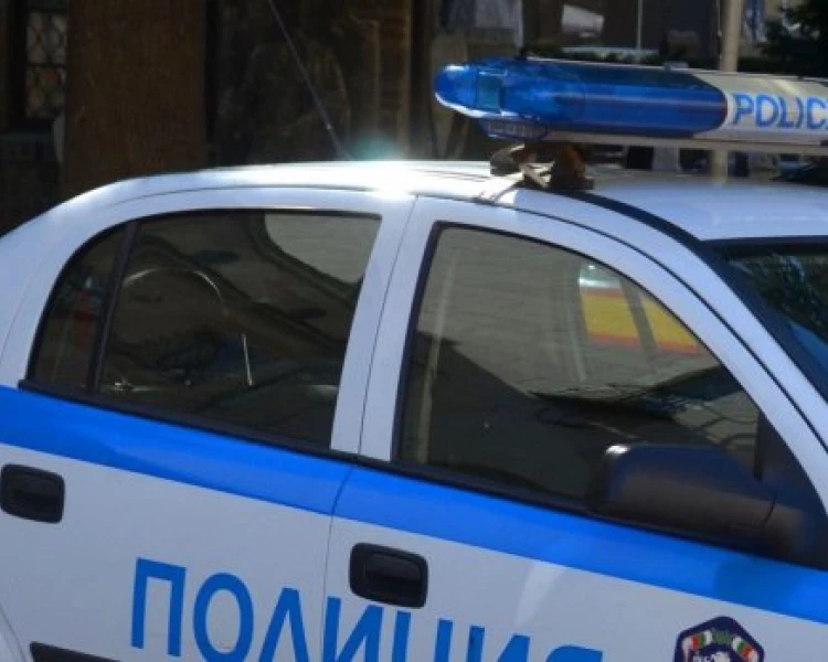 Арестуваха мъж, убил куче с въздушна пушка край Велико Търново