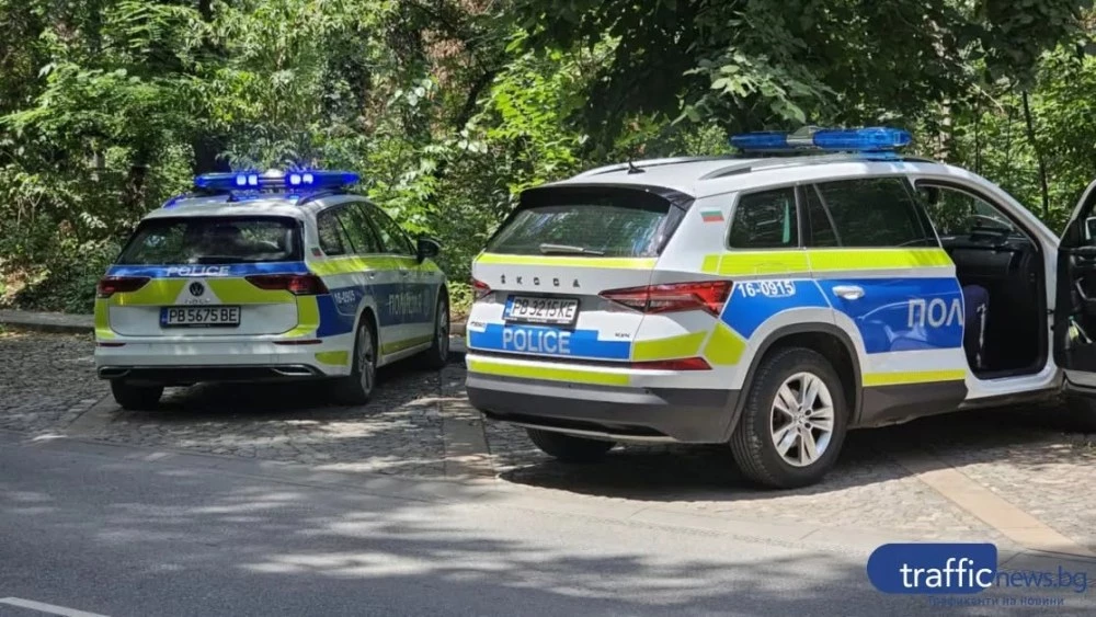 Заради висока скорост: 19-годишен шофьор отнесе табела и стълбове в Пловдив