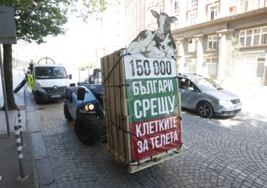 Две седмици в клетка: Протестиращи се затварят пред Народното събрание