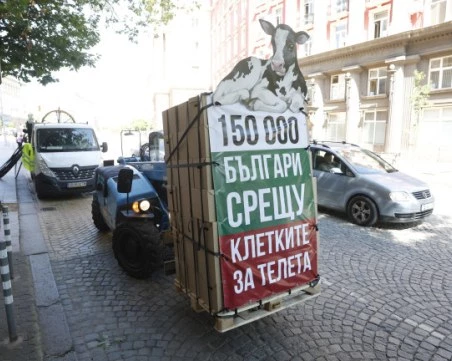 Две седмици в клетка: Протестиращи се затварят пред Народното събрание