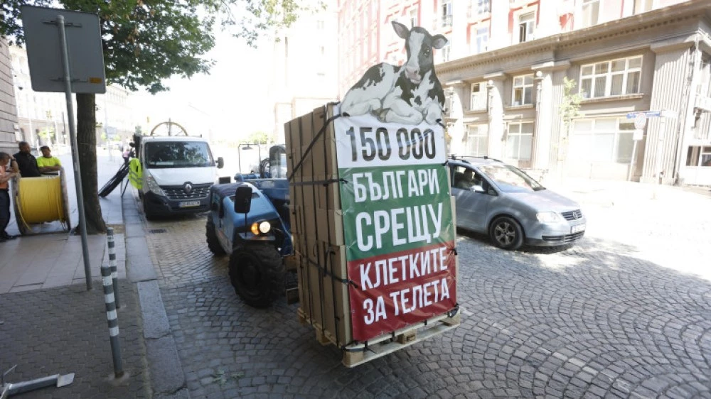 Две седмици в клетка: Протестиращи се затварят пред Народното събрание