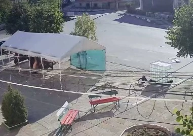 Агресия на група вандали в созополско село ескалира, кметът - безпомощен