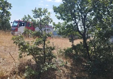 Пожар пламна в Пловдивско! Евакуират хора от вилна зона, задействаха BG-ALERT