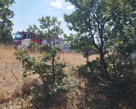 Пожар пламна в Пловдивско! Евакуират хора от вилна зона, задействаха BG-ALERT