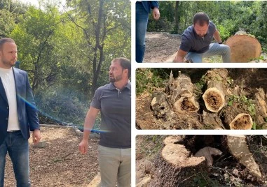 Лаута е в колапс! Време е да погледнем истината в очите ВИДЕО