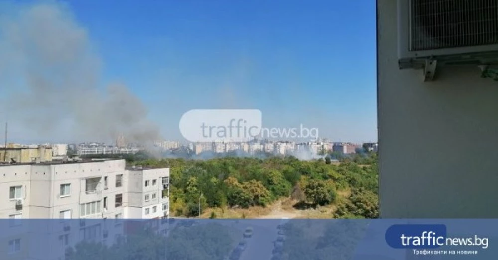 126 пожара са потушени в страната за ден, един човек е загинал