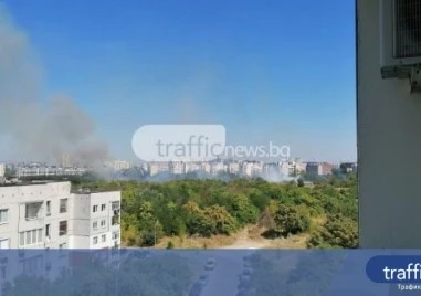 126 пожара са потушени в страната за ден, един човек е загинал