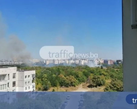 126 пожара са потушени в страната за ден, един човек е загинал