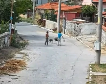 Зверско насилие над куче в село край Панагюрище, сигнализират прокуратурата ВИДЕО
