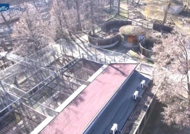 Решават съдбата на зоопарка в последната минута – последен шанс за европари за проекта