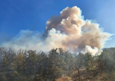 Остава в сила частичното бедствено положение в Ивайловград