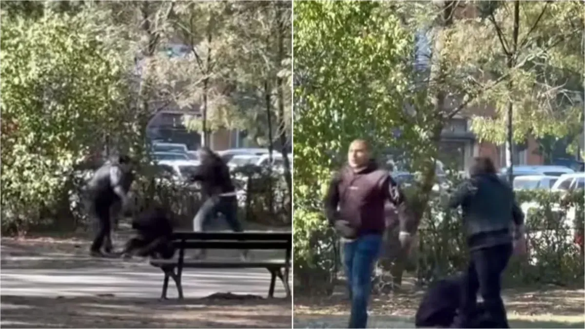 След жесток побой в столичен парк: Двама са обвинени, единият е освободен