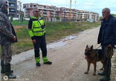 Доброволци с кучета претърсиха брега на Марица в издирване на изчезналата Пенка