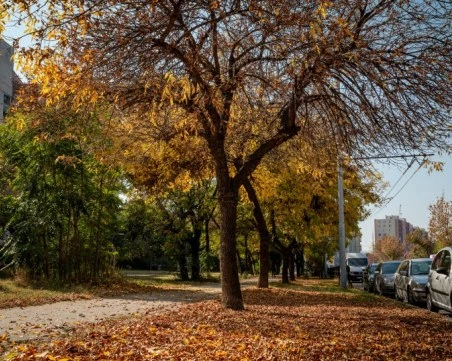 Слънчева неделя, но с по-ниски температури в Пловдив