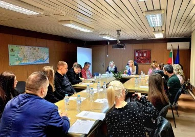 „Северен настоява за спешни мерки за дърветата в Пловдив