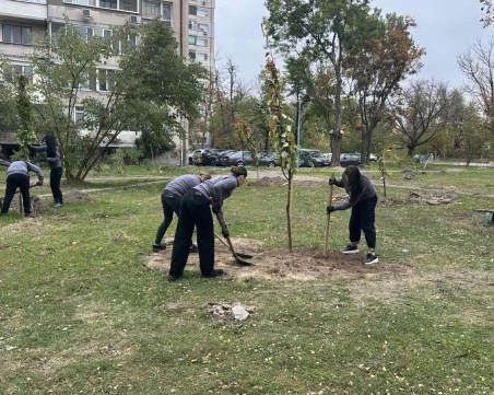 40 нови дръвчета вече обогатяват зелената система на в Пловдив