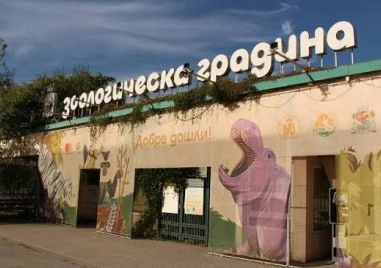 Служителите на Софийския зоопарк излизат на безсрочен протест