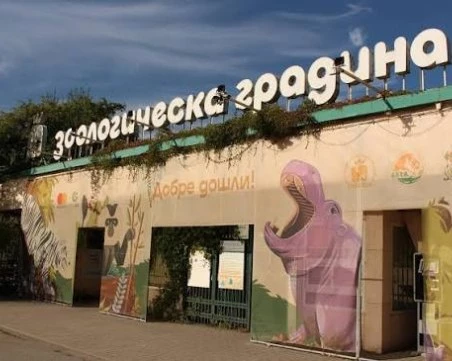 Служителите на Софийския зоопарк излизат на безсрочен протест